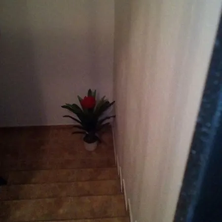 Veronica * Пуэрто-де-Моган